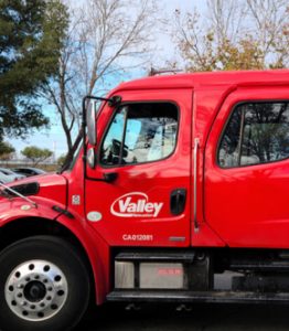 Domestic International Shipping